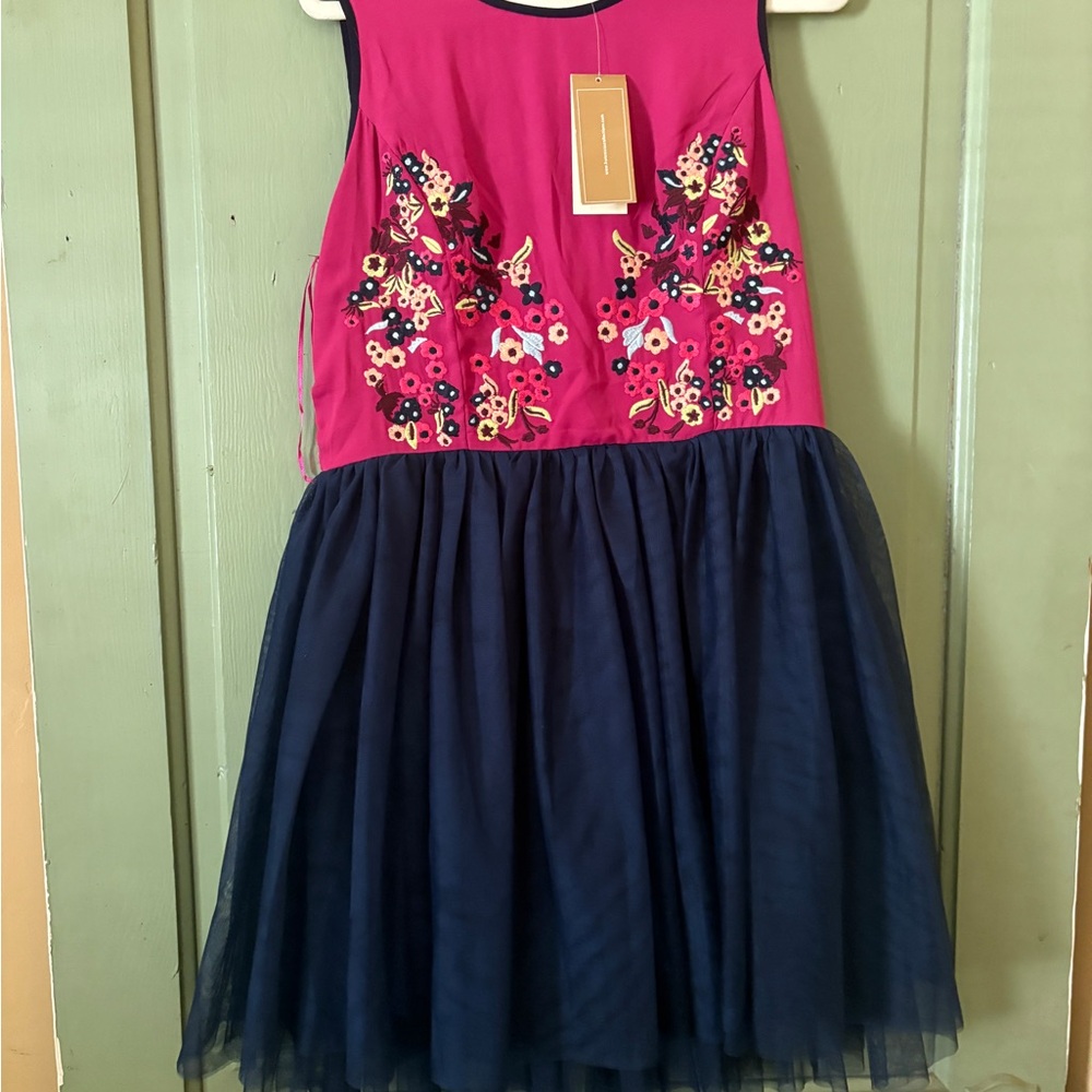 NWT Miami Francesca Dress Large Pink Embroidered Blue Tulle Ballerina Mini Dress